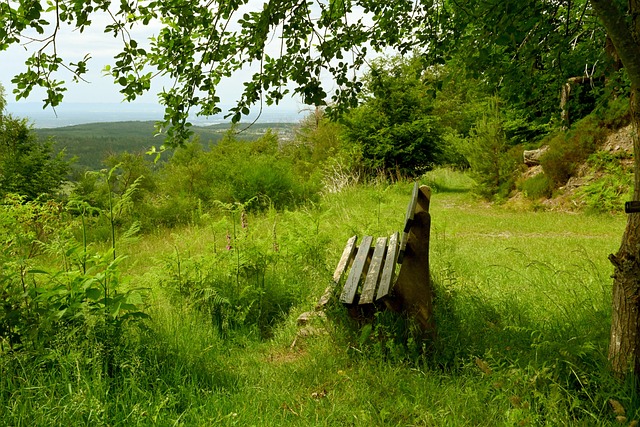 防守型中场 防守型中场