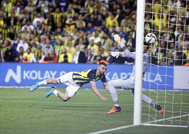 这显示了他 这显示了他